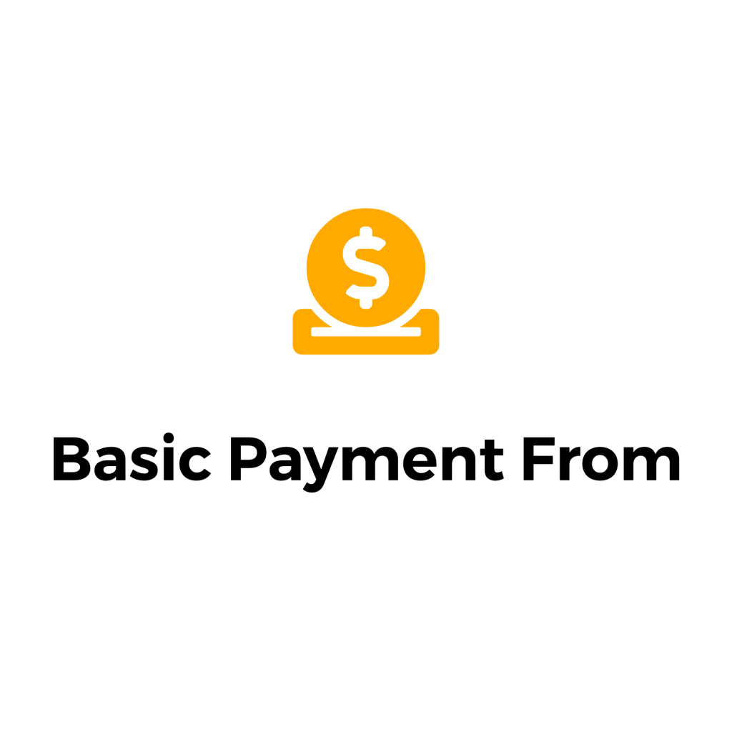 basic payment form
